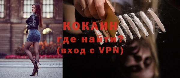 твердый Арсеньев