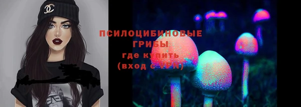 прущий лед Аркадак