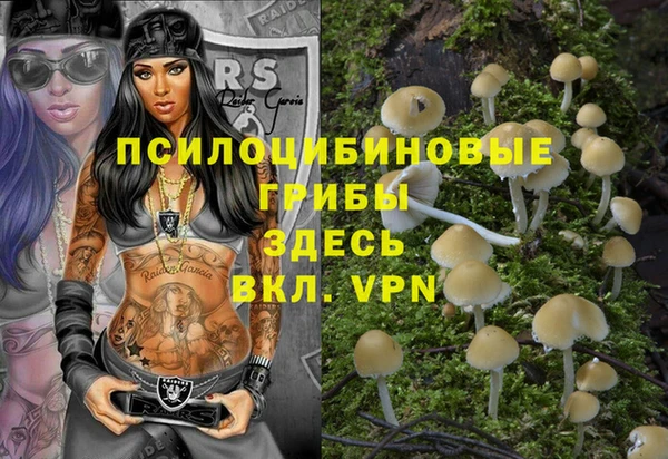 прущий лед Аркадак