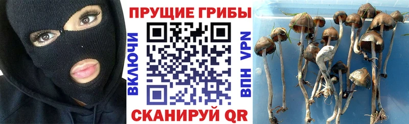 Галлюциногенные грибы GOLDEN TEACHER  Купить где  Осинники 